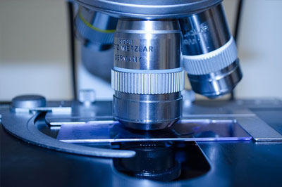 in-house-veterinary-diagnostic-services Diagnostic